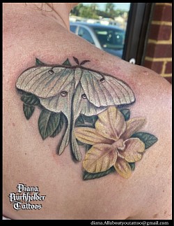 Lamar moth color tattoo